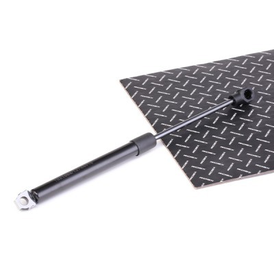Gasfeder, Koffer-/Laderaum RIDEX 219G0714 219G0714 - foto 3