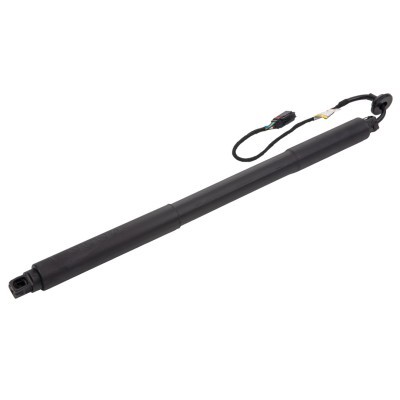 Gasfeder, Koffer-/Laderaum RIDEX 219G1035 219G1035 - foto 6