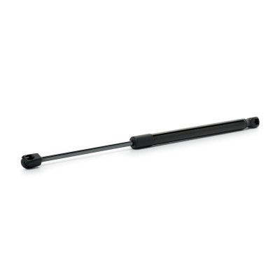 Gasfeder, Koffer-/Laderaum RIDEX 219G1473 219G1473 - foto 2