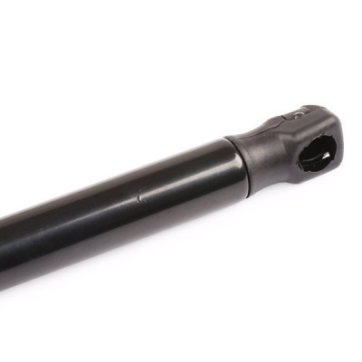 Gasfeder, Koffer-/Laderaum RIDEX 219G0207 219G0207 - foto 5
