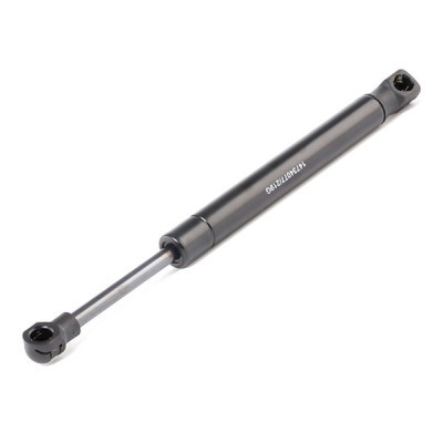 Gasfeder, Koffer-/Laderaum RIDEX 219G0924 219G0924 - foto 3