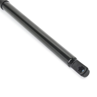 Gasfeder, Koffer-/Laderaum RIDEX 219G1071 219G1071 - foto 5