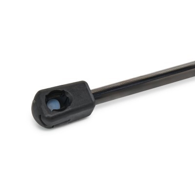 Gasfeder, Koffer-/Laderaum RIDEX 219G0234 219G0234 - foto 6