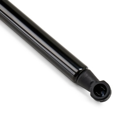 Gasfeder, Koffer-/Laderaum RIDEX 219G1310 219G1310 - foto 5