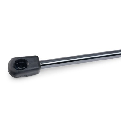 Gasfeder, Koffer-/Laderaum RIDEX 219G0503 219G0503 - foto 6
