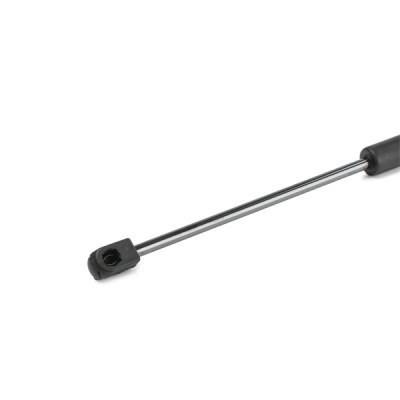 Gasfeder, Koffer-/Laderaum RIDEX 219G0844 219G0844 - foto 5