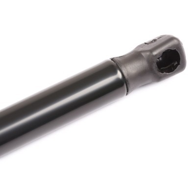 Gasfeder, Koffer-/Laderaum RIDEX 219G0351 219G0351 - foto 6