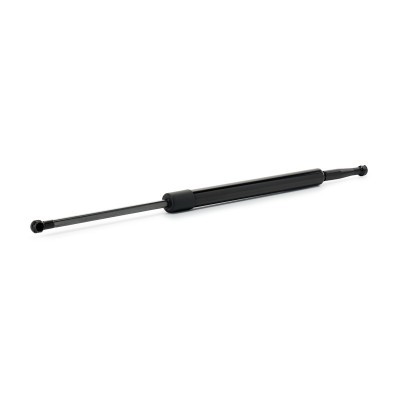 Gasfeder, Koffer-/Laderaum RIDEX 219G1344 219G1344 - foto 2