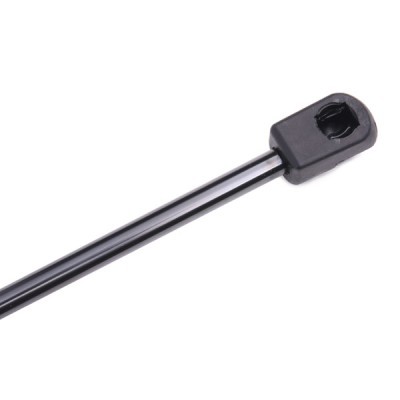 Gasfeder, Koffer-/Laderaum RIDEX 219G0063 219G0063 - foto 5