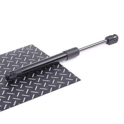 Gasfeder, Koffer-/Laderaum RIDEX 219G0620 219G0620 - foto 2