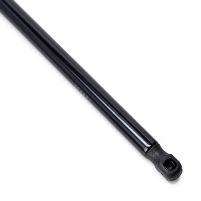 Gasfeder, Koffer-/Laderaum RIDEX 219G0861 219G0861 - foto 5