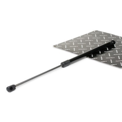 Gasfeder, Koffer-/Laderaum RIDEX 219G0498 219G0498 - foto 2