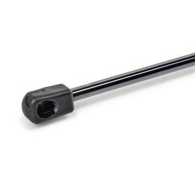 Gasfeder, Koffer-/Laderaum RIDEX 219G1363 219G1363 - foto 4