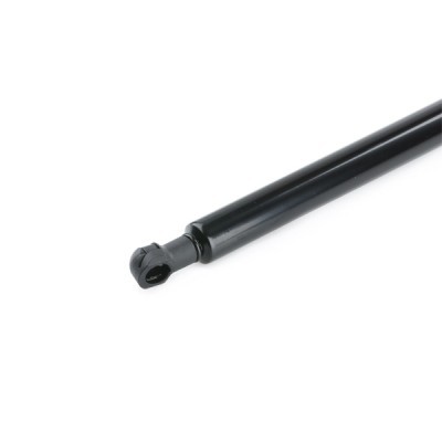Gasfeder, Koffer-/Laderaum RIDEX 219G0950 219G0950 - foto 5