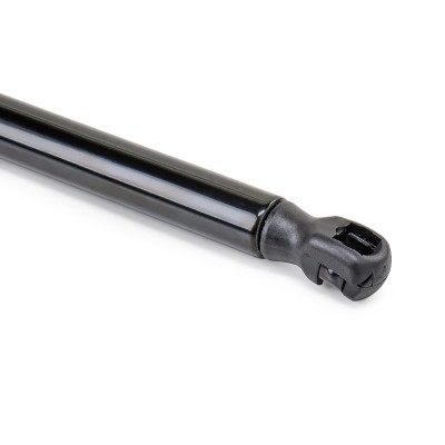 Gasfeder, Koffer-/Laderaum RIDEX 219G1450 219G1450 - foto 5