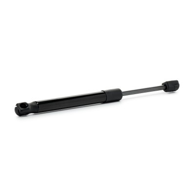 Gasfeder, Koffer-/Laderaum RIDEX 219G1476 219G1476 - foto 3