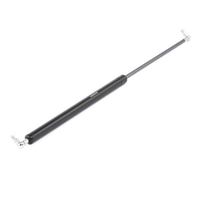 Gasfeder, Koffer-/Laderaum RIDEX 219G0256 219G0256 - foto 2