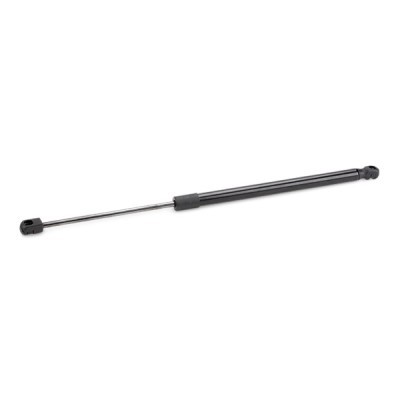 Gasfeder, Koffer-/Laderaum RIDEX 219G0955 219G0955 - foto 8