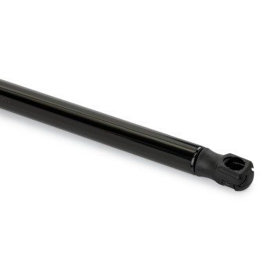 Gasfeder, Koffer-/Laderaum RIDEX 219G1337 219G1337 - foto 5