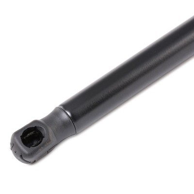 Gasfeder, Koffer-/Laderaum RIDEX 219G0909 219G0909 - foto 4