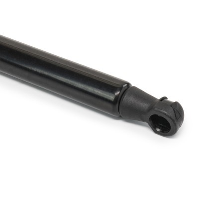Gasfeder, Koffer-/Laderaum RIDEX 219G0204 219G0204 - foto 12