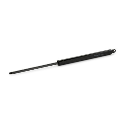 Gasfeder, Koffer-/Laderaum RIDEX 219G0425 219G0425 - foto 5