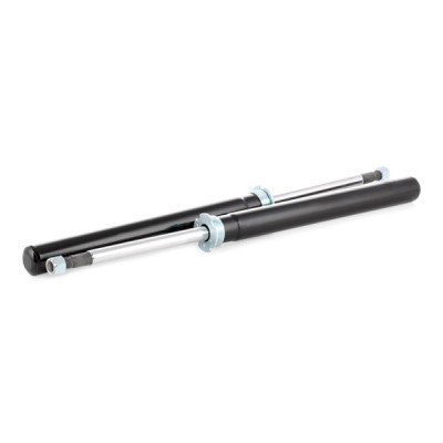 Stoßdämpfer RIDEX 854S1665 854S1665 - foto 5