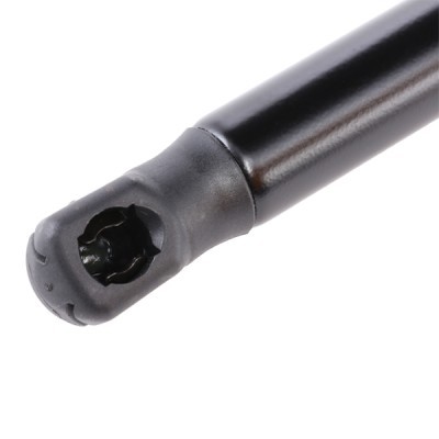 Gasfeder, Koffer-/Laderaum RIDEX 2454G0017 2454G0017 - foto 3