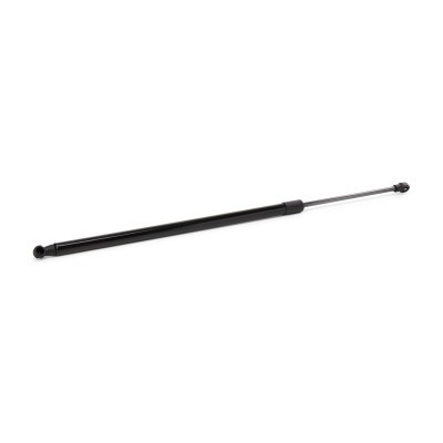 Gasfeder, Koffer-/Laderaum RIDEX 219G1295 219G1295 - foto 3