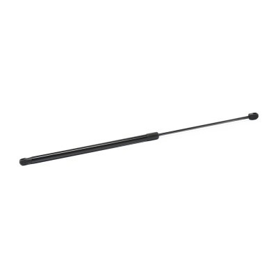Gasfeder, Koffer-/Laderaum RIDEX 219G1163 219G1163 - foto 3