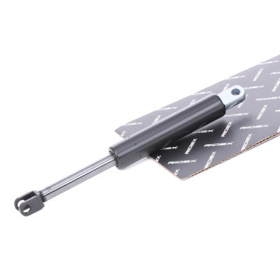 Gasfeder, Koffer-/Laderaum RIDEX 219G0561 219G0561 - foto 2