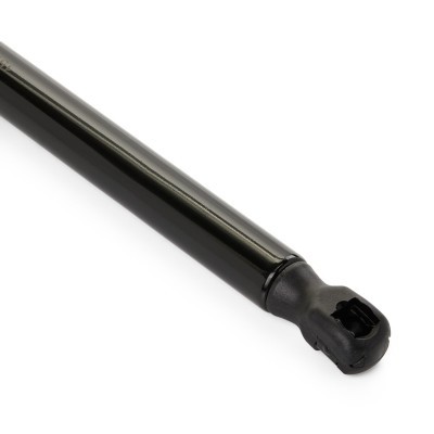 Gasfeder, Koffer-/Laderaum RIDEX 219G0991 219G0991 - foto 5