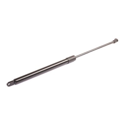 Gasfeder, Koffer-/Laderaum RIDEX 219G0238 219G0238 - foto 6