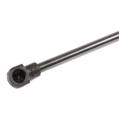 Gasfeder, Koffer-/Laderaum RIDEX 219G0327 219G0327 - foto 4