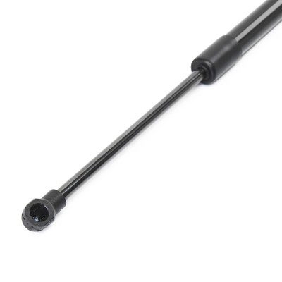 Gasfeder, Koffer-/Laderaum RIDEX 219G1135 219G1135 - foto 4