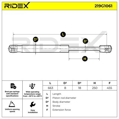 Gasfeder, Koffer-/Laderaum RIDEX 219G1061 219G1061 - foto 7
