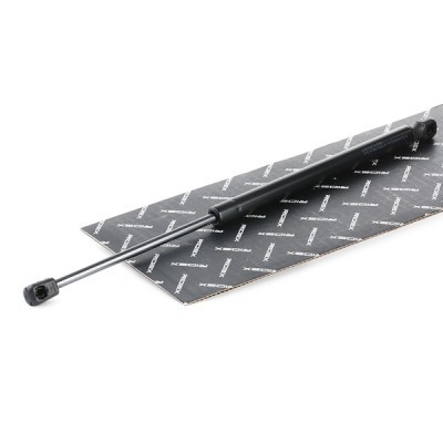 Gasfeder, Koffer-/Laderaum RIDEX 219G0404 219G0404 - foto 2