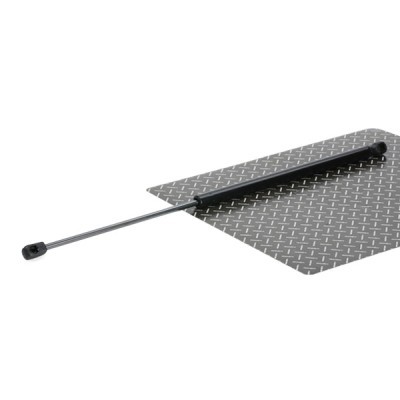 Gasfeder, Koffer-/Laderaum RIDEX 219G0929 219G0929 - foto 2