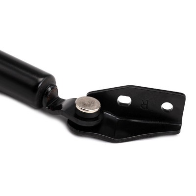 Gasfeder, Koffer-/Laderaum RIDEX 219G0802 219G0802 - foto 6