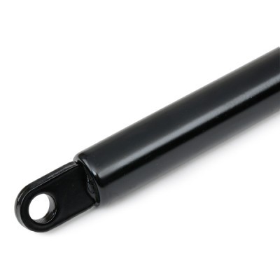 Gasfeder, Koffer-/Laderaum RIDEX 219G0763 219G0763 - foto 5