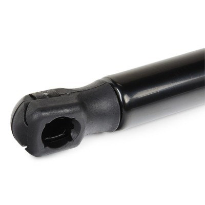 Gasfeder, Koffer-/Laderaum RIDEX 219G1244 219G1244 - foto 6