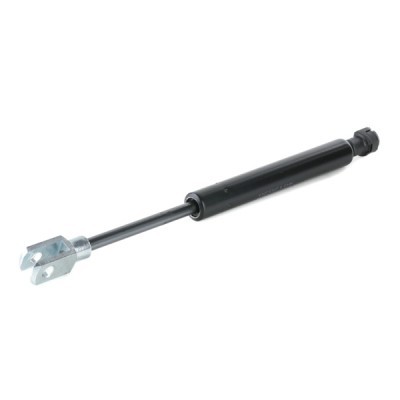 Gasfeder, Koffer-/Laderaum RIDEX 2454G0011 2454G0011 - foto 4