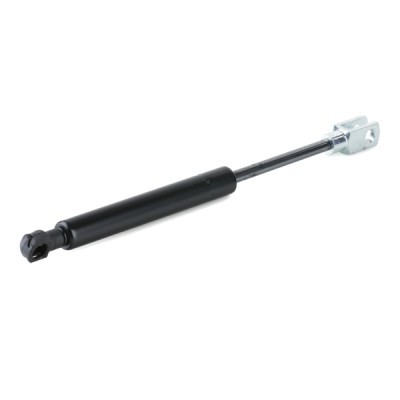 Gasfeder, Koffer-/Laderaum RIDEX 2454G0011 2454G0011 - foto 3