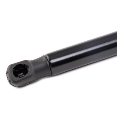 Gasfeder, Koffer-/Laderaum RIDEX 219G0678 219G0678 - foto 5