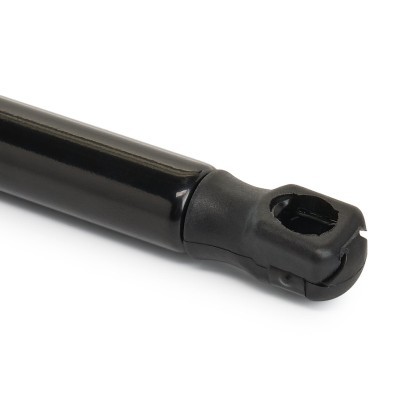 Gasfeder, Koffer-/Laderaum RIDEX 219G0637 219G0637 - foto 6