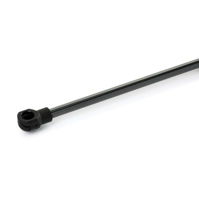 Gasfeder, Koffer-/Laderaum RIDEX 219G1169 219G1169 - foto 4