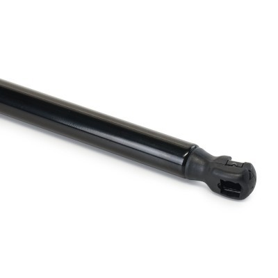 Gasfeder, Koffer-/Laderaum RIDEX 219G1255 219G1255 - foto 5