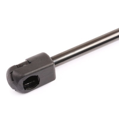 Gasfeder, Koffer-/Laderaum RIDEX 219G0040 219G0040 - foto 4