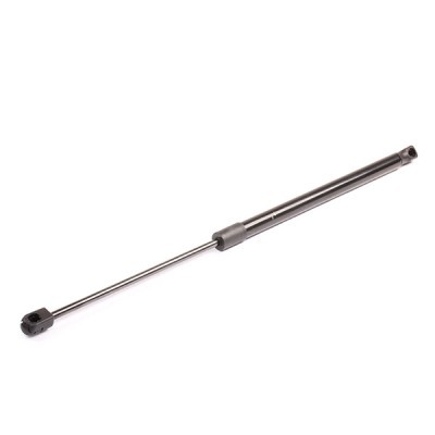 Gasfeder, Koffer-/Laderaum RIDEX 219G0207 219G0207 - foto 3