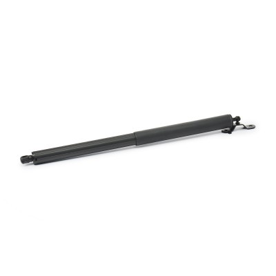 Gasfeder, Koffer-/Laderaum RIDEX 219G0951 219G0951 - foto 3